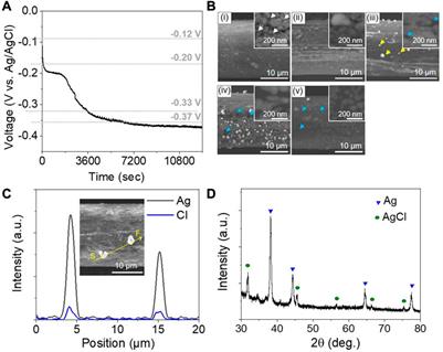 Corrosion behavior of silver-coated conductive yarn